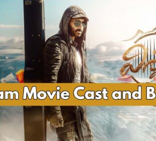 Viswam Movie Cast and Budget