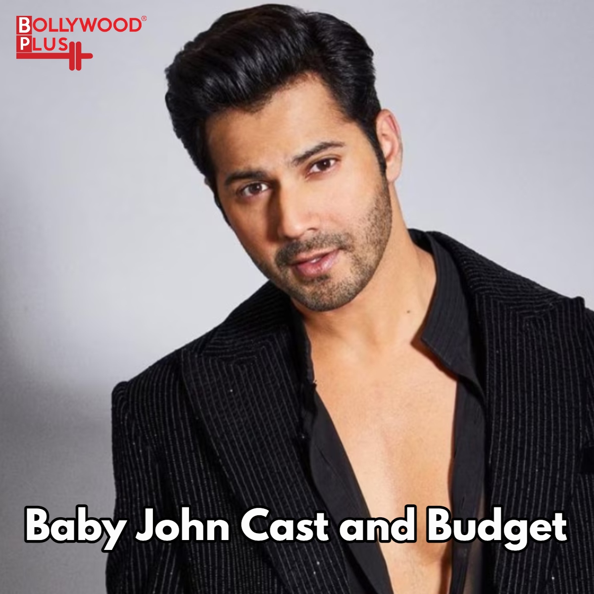 Baby John Cast and Budget