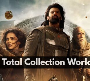 Kalki Total Collection Worldwide