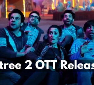 Stree 2 OTT Release