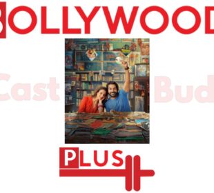 Vicky Vidya Ka Woh Wala Video Movie: Cast and Budget