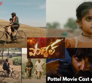 Pottel Movie Cast and Budget