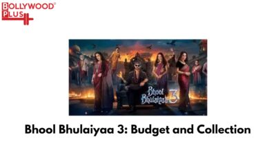 Bhool Bhulaiyaa 3: Budget and Collection