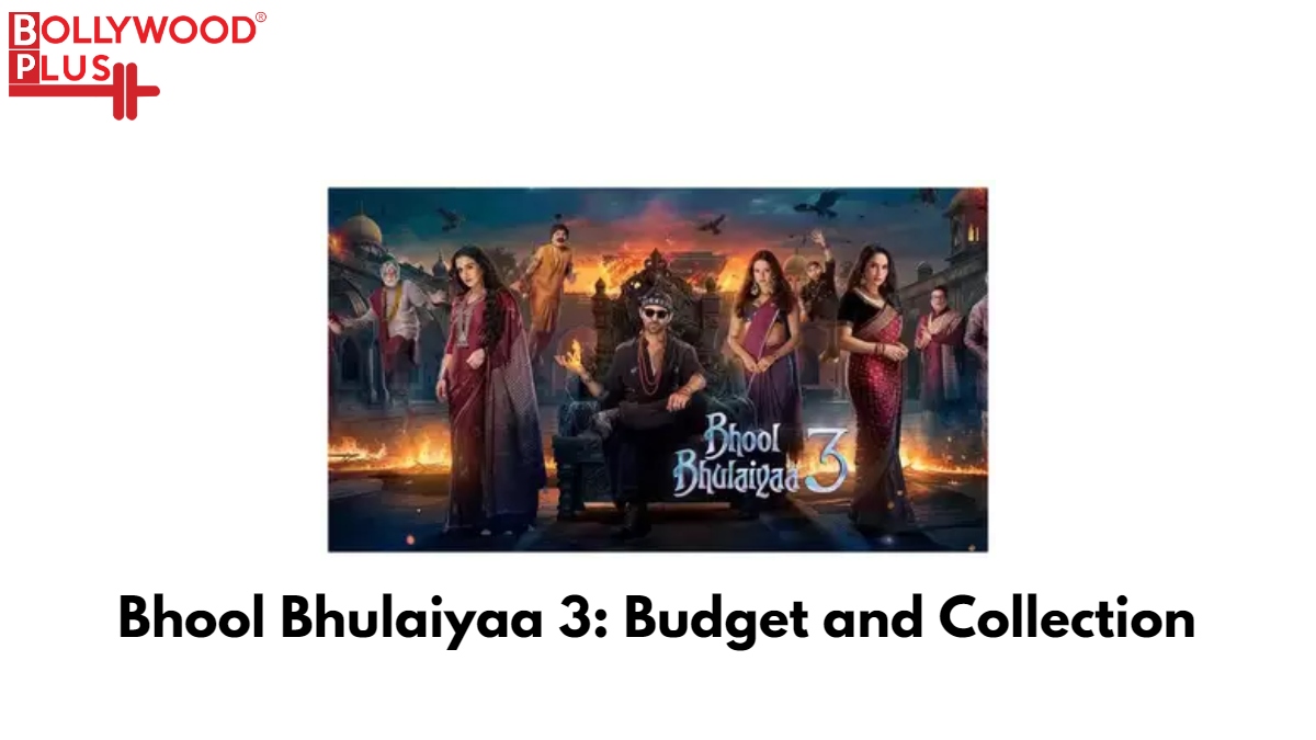 Bhool Bhulaiyaa 3: Budget and Collection