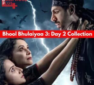 Bhool Bhulaiyaa 3_ Day 2 Collection